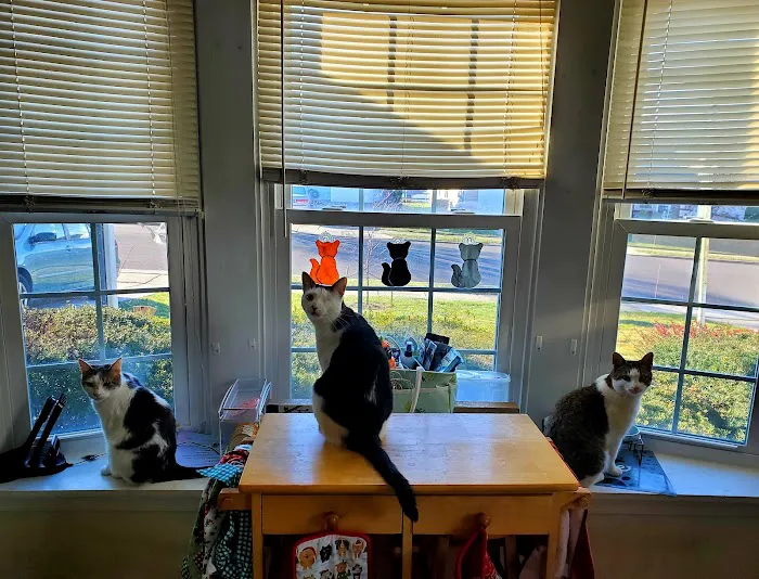 Paws 'N Claws Veterinary Clinic LLC 10