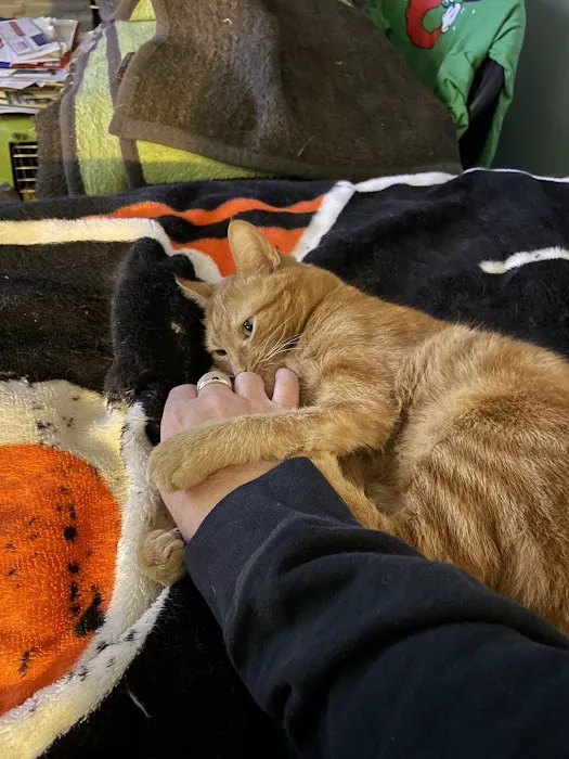Paws 'N Claws Veterinary Clinic LLC 9
