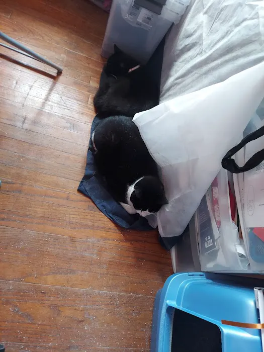 Wyncote Animal Hospital 12