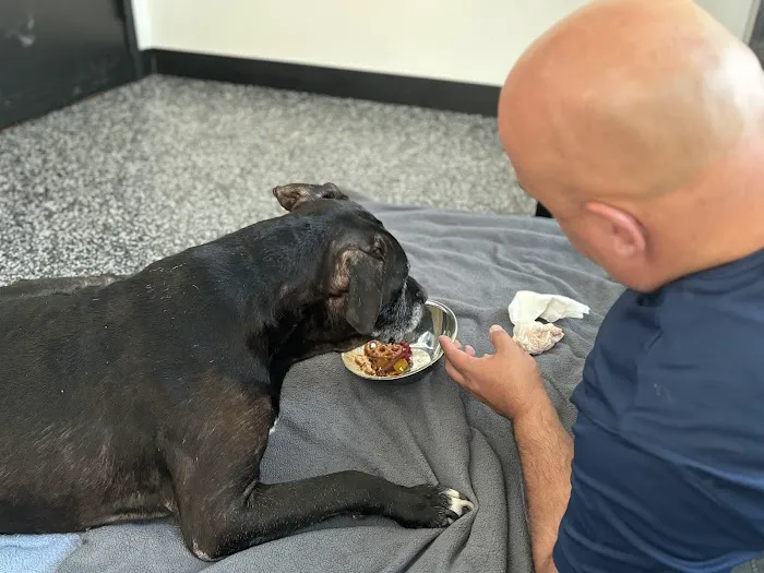 Wyncote Animal Hospital 12