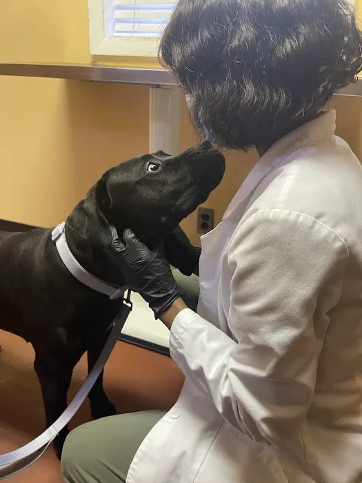 Wyncote Animal Hospital 12