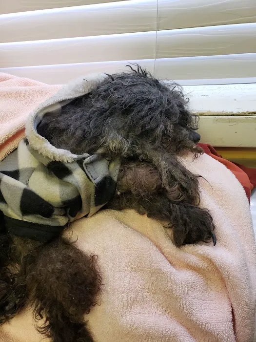 Wyncote Animal Hospital 12