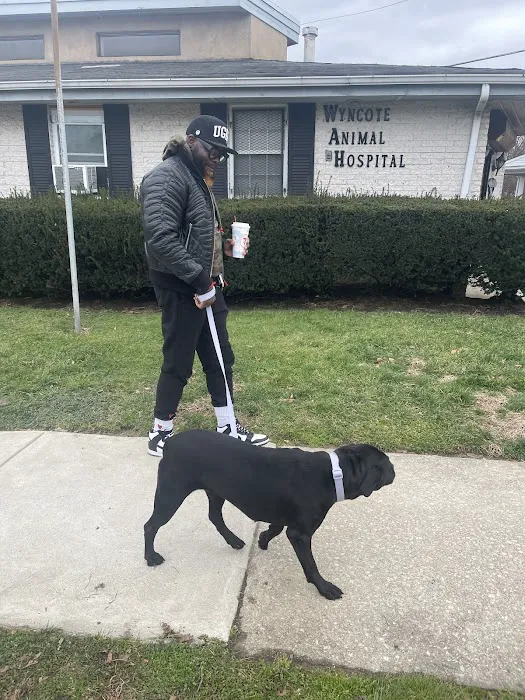 Wyncote Animal Hospital 12