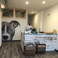 Jones Jennifer VMD ico