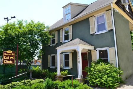 Chestnut Hill Cat Clinic