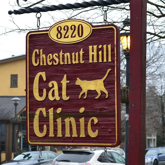Chestnut Hill Cat Clinic 12
