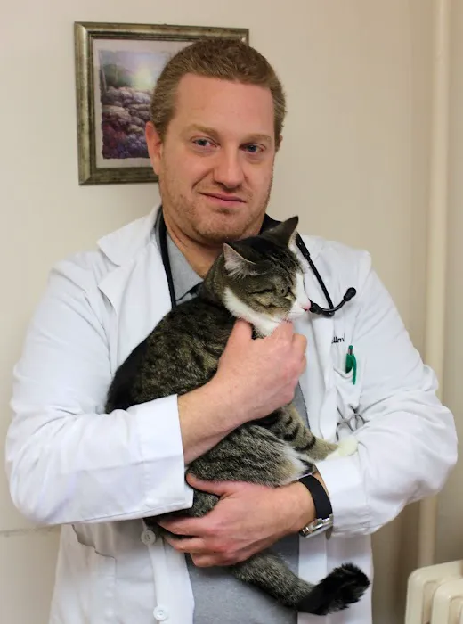 Chestnut Hill Cat Clinic 12