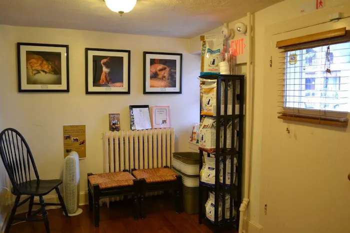 Chestnut Hill Cat Clinic 12