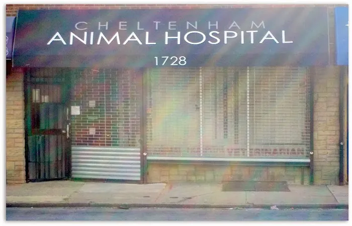 Cheltenham Animal Hospital 12