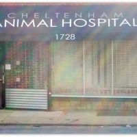 Cheltenham Animal Hospital ico
