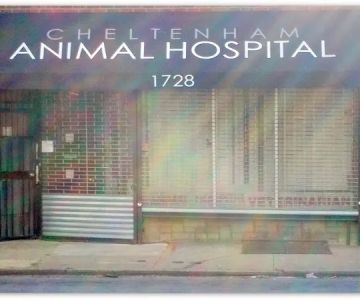 Cheltenham Animal Hospital