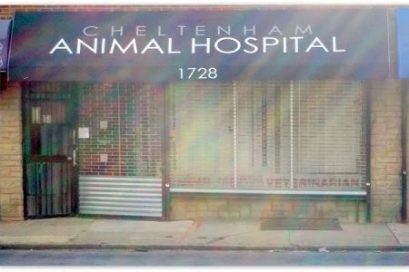 Cheltenham Animal Hospital