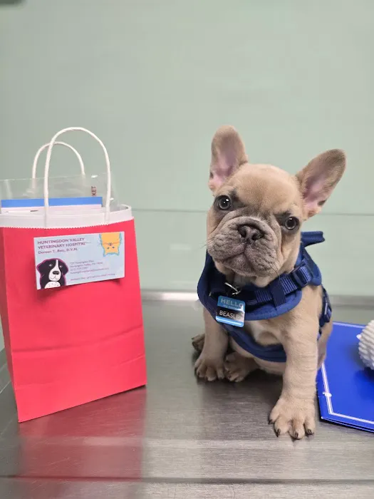 Huntingdon Valley Veterinary Hospital 3