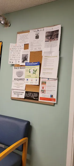 Huntingdon Valley Veterinary Hospital 4