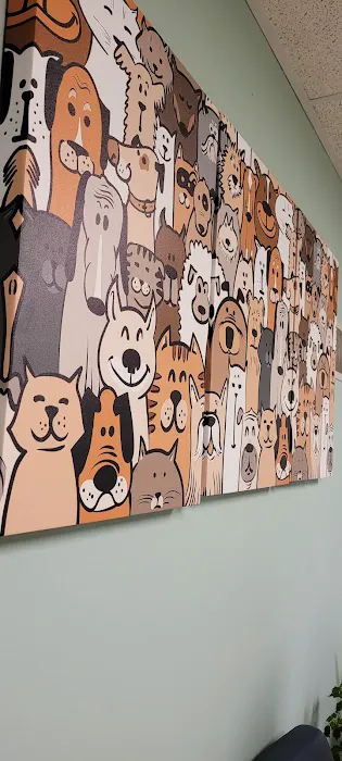 Huntingdon Valley Veterinary Hospital 2