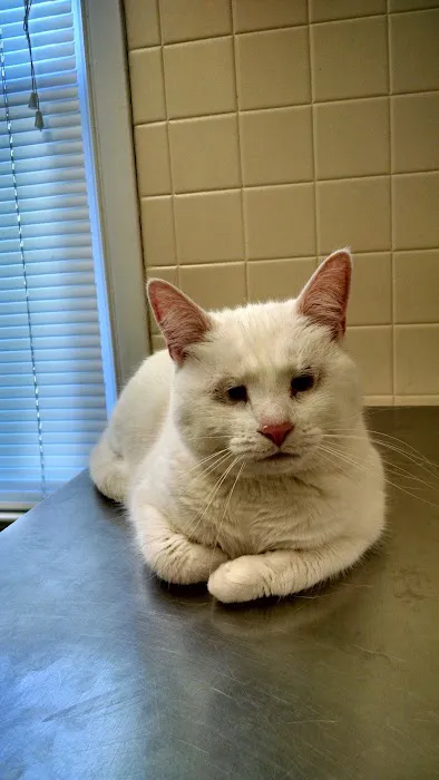 Hopewell Veterinary Hospital 7