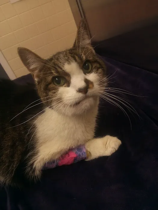 Hopewell Veterinary Hospital 3