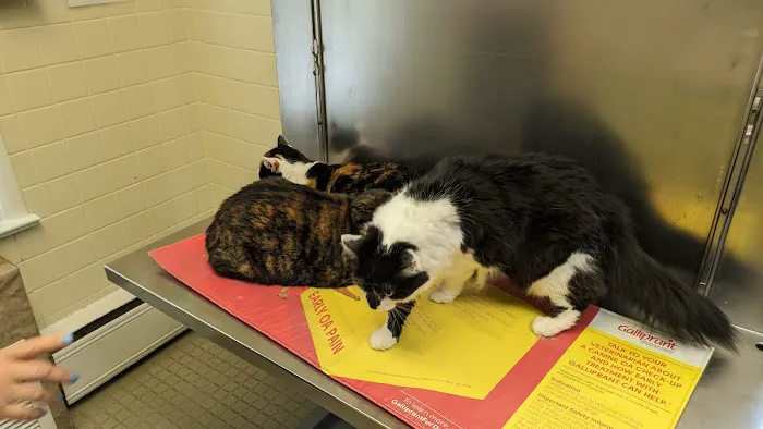 Hopewell Veterinary Hospital 9