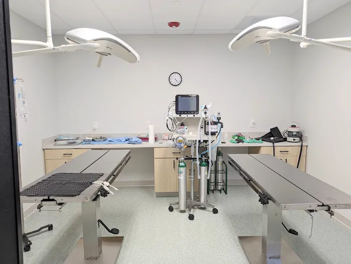 Spring Mill Veterinary Hospital 12