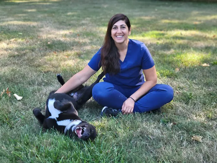 Spring Mill Veterinary Hospital 12