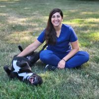 Spring Mill Veterinary Hospital ico