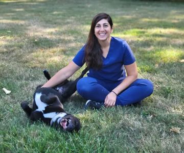 Spring Mill Veterinary Hospital