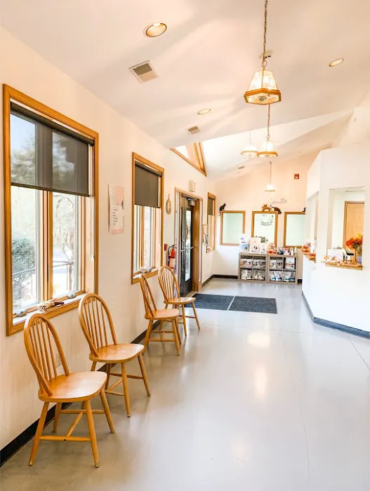 Town & Country Veterinary Hospital in Media/Aston 2