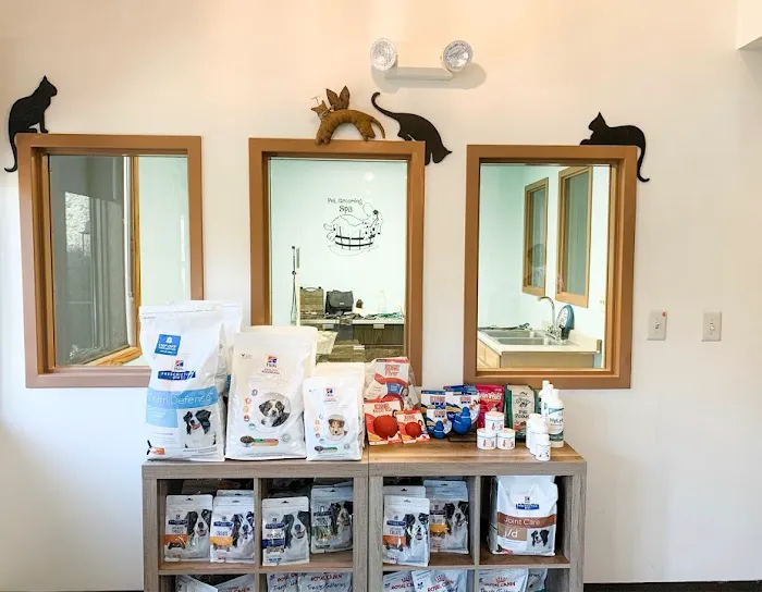 Town & Country Veterinary Hospital in Media/Aston 3