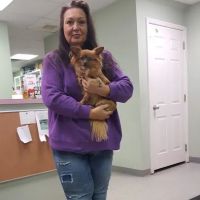 Conshohocken Veterinary Hospital ico