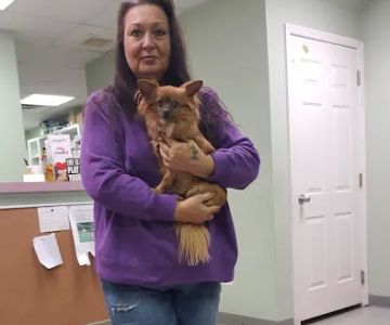 Conshohocken Veterinary Hospital