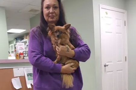 Conshohocken Veterinary Hospital