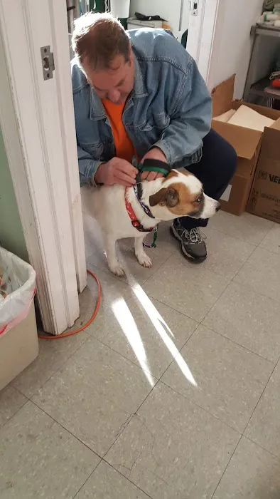 Conshohocken Veterinary Hospital 12
