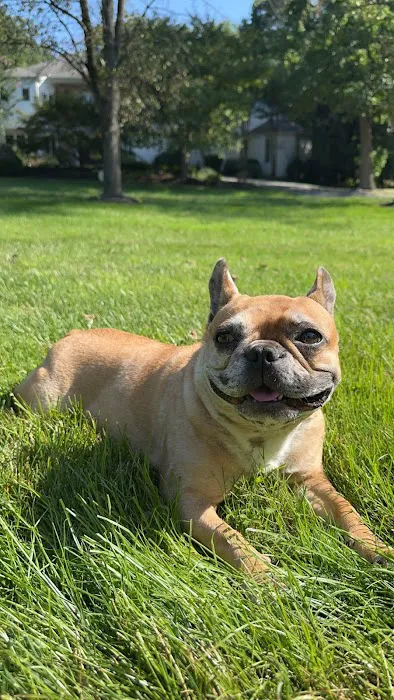 Plymouth Animal Hospital 5