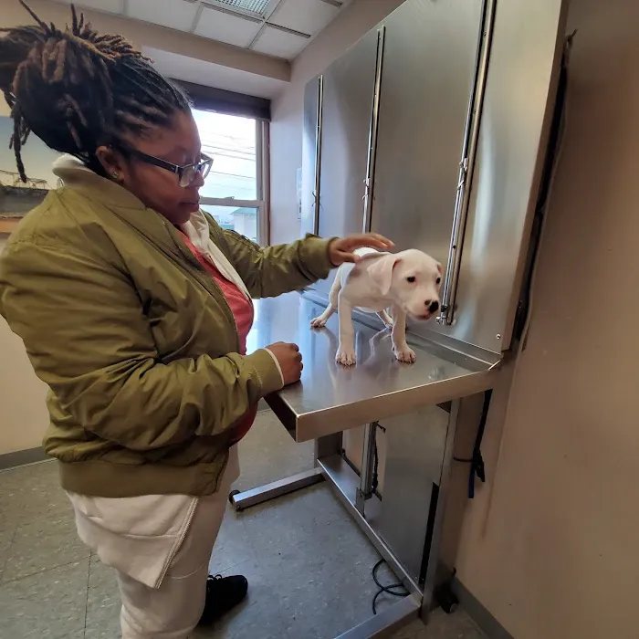 Plymouth Animal Hospital 4