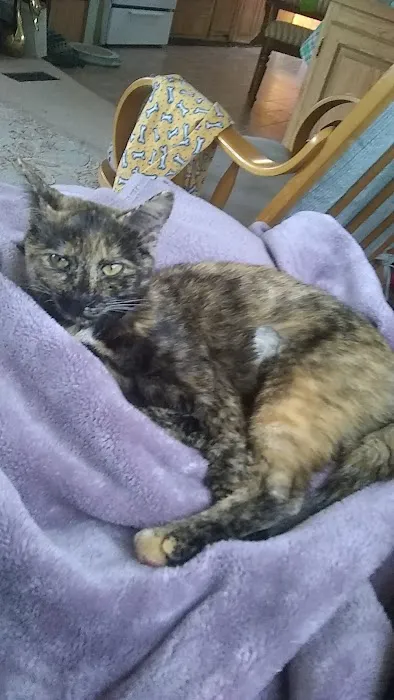 Plymouth Animal Hospital 7