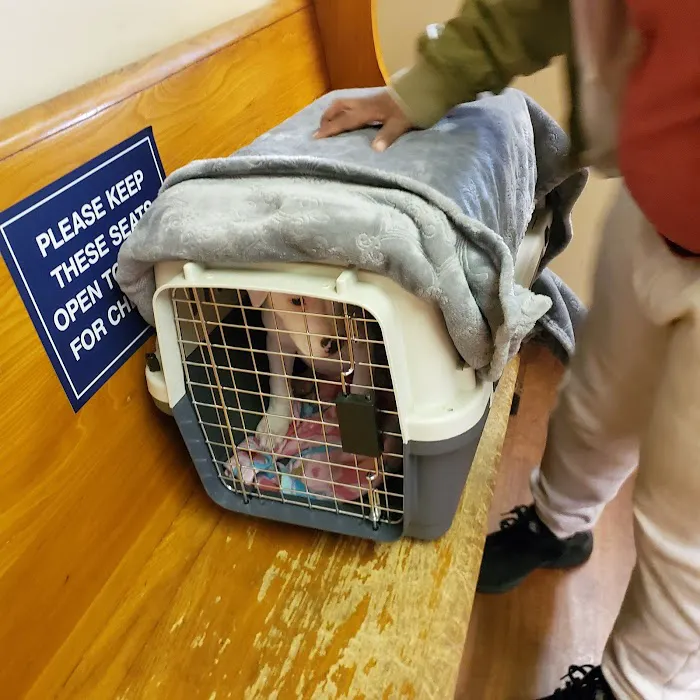 Plymouth Animal Hospital 8
