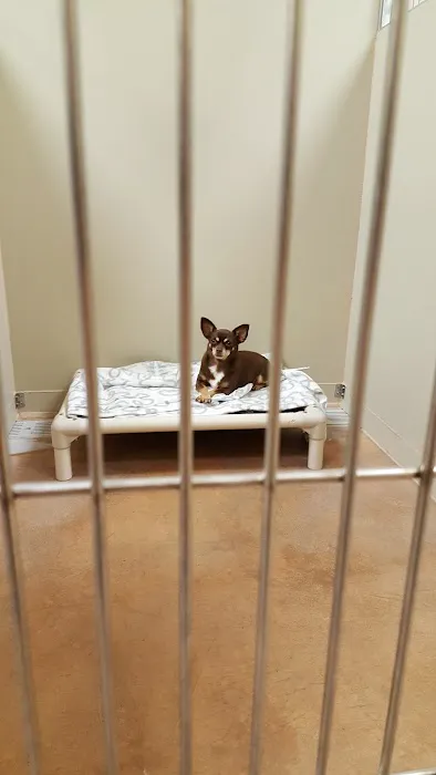 Banfield Pet Hospital 7