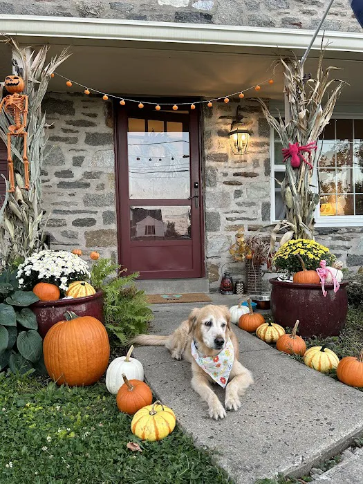 Montgomery Animal Hospital 3
