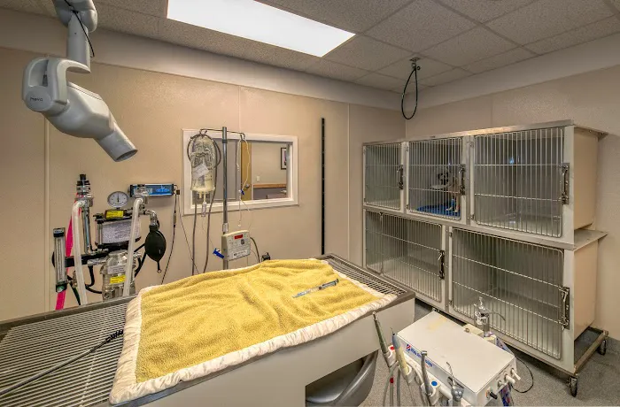Montgomery Animal Hospital 7