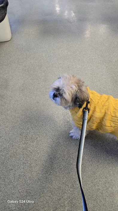 Montgomery Animal Hospital 9