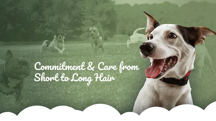 Fort Washington Veterinary Hospital 1