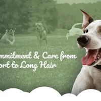 Fort Washington Veterinary Hospital ico