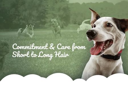 Fort Washington Veterinary Hospital