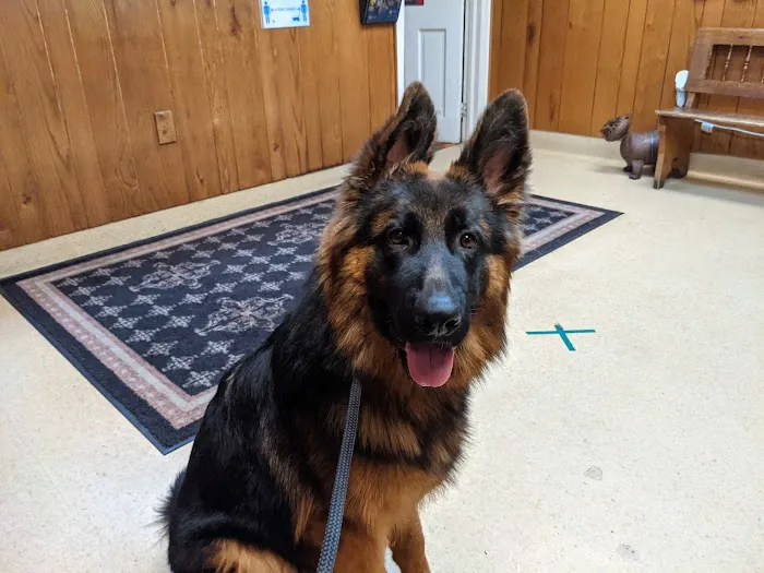 Steinbach Veterinary Hospital 12