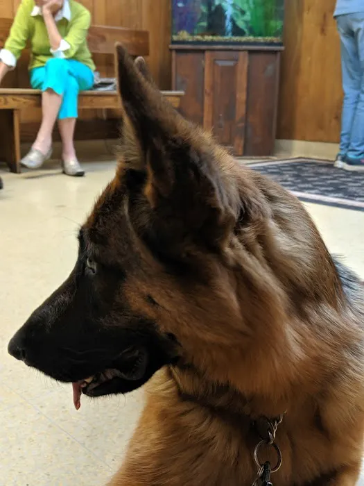 Steinbach Veterinary Hospital 12