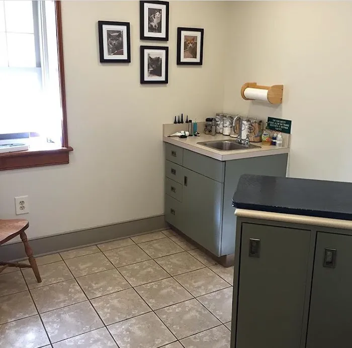 Creature Comforts Veterinary Hospital 2