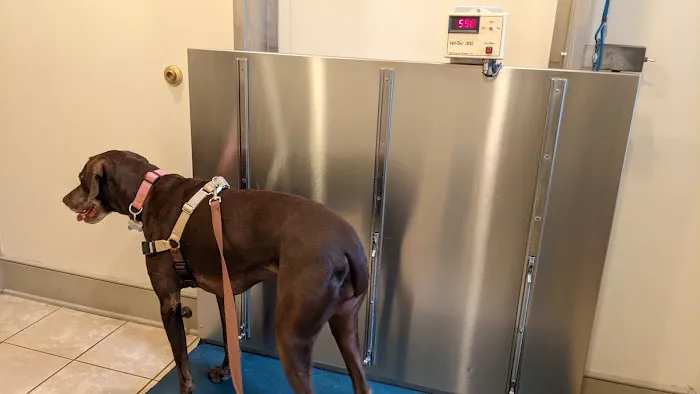 Creature Comforts Veterinary Hospital 5