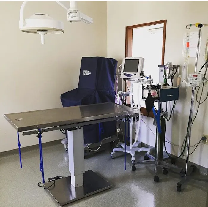 Creature Comforts Veterinary Hospital 1