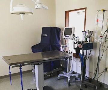 Creature Comforts Veterinary Hospital