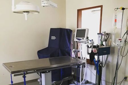 Creature Comforts Veterinary Hospital